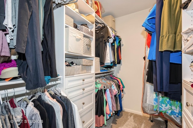 1128 Evergreen Ave, Des Plaines, IL 60016 - photo 14