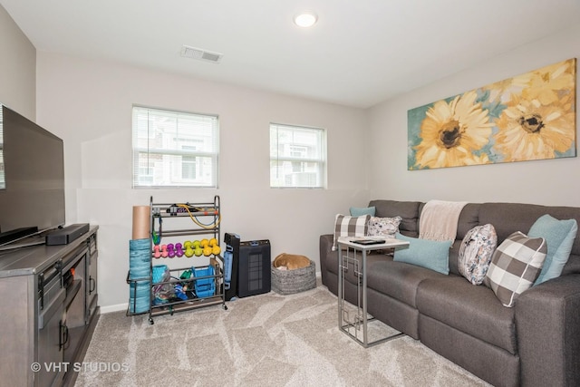 1128 Evergreen Ave, Des Plaines, IL 60016 - photo 19