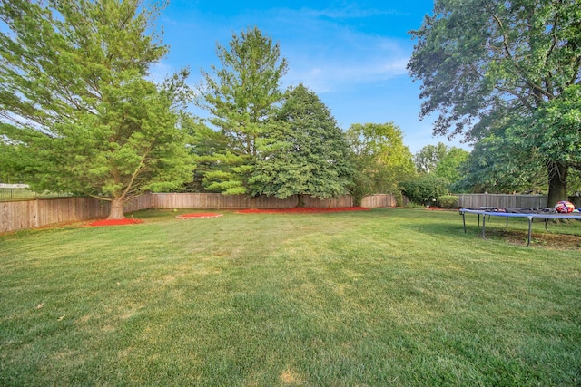 21375 Georgetown Rd, Frankfort, IL 60423 - photo 7
