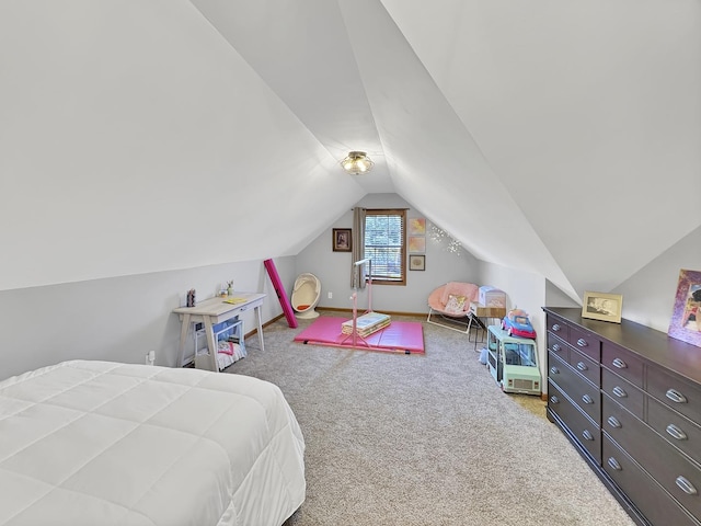 1913 Parkhill Ln, Ottawa, IL 61350 - photo 23
