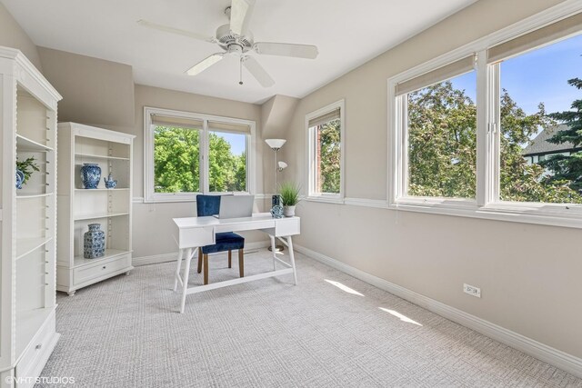 26 Forest Ln, South Barrington, IL 60010 - photo 35