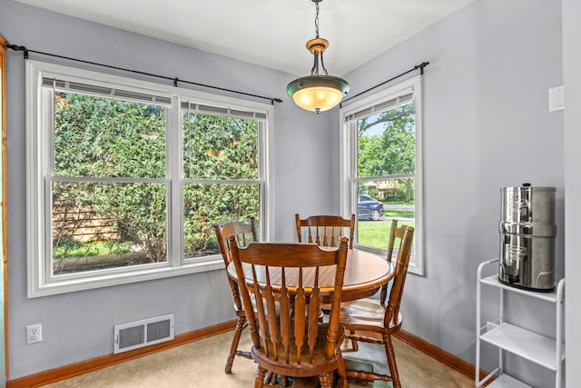 1333 S 3rd St, Saint Charles, IL 60174 - photo 14