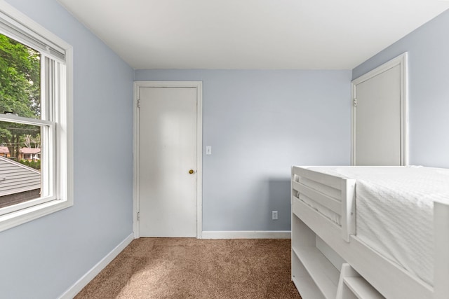 1333 S 3rd St, Saint Charles, IL 60174 - photo 21