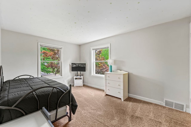 1333 S 3rd St, Saint Charles, IL 60174 - photo 22