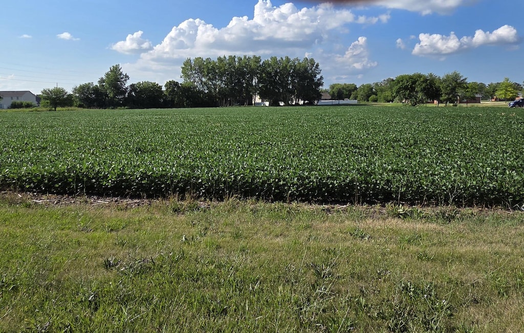590 W Walnut St, Oglesby, IL 61348 - photo 1