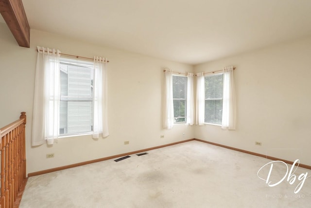 1017 Oaktree Trl, Lake Villa, IL 60046 - photo 14