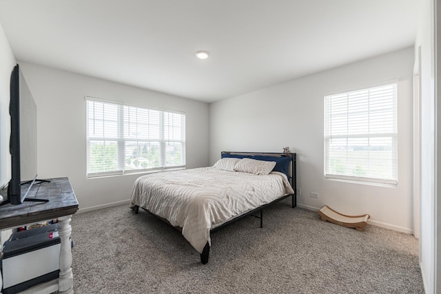 2381 Alison Ave, Pingree Grove, IL 60140 - photo 14