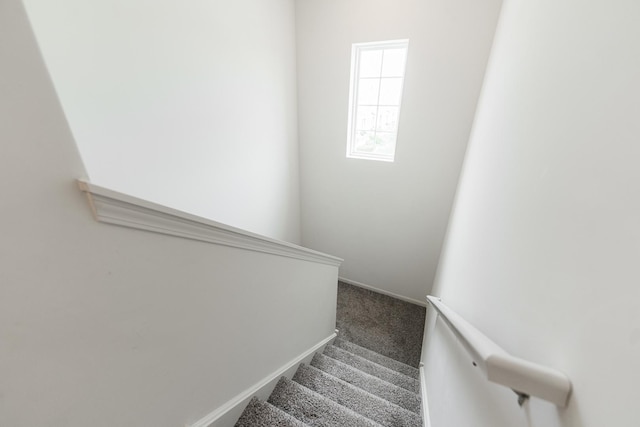 2381 Alison Ave, Pingree Grove, IL 60140 - photo 21
