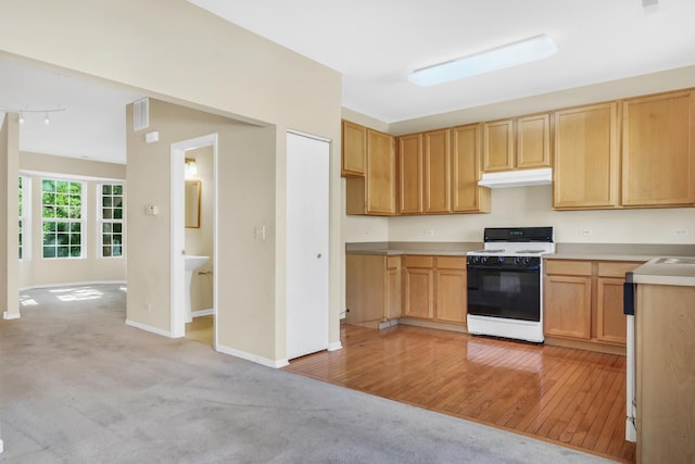 983 Ellsworth Dr, Grayslake, IL 60030 - photo 7