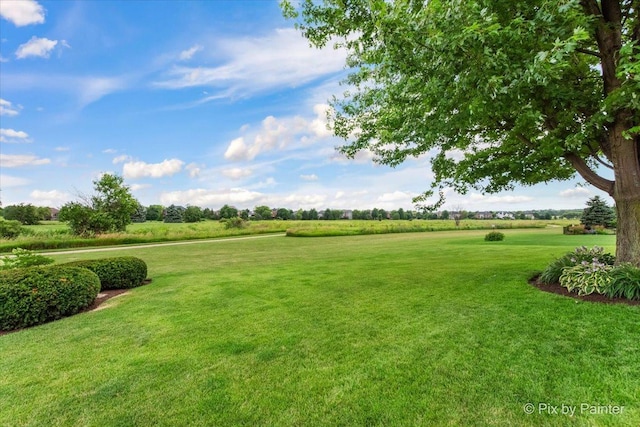 3N777 E Laura Ingalls Wilder Rd, Saint Charles, IL 60175 - photo 52