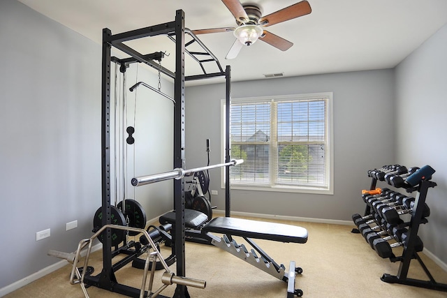 9002 Mansfield Dr, Tinley Park, IL 60487 - photo 9