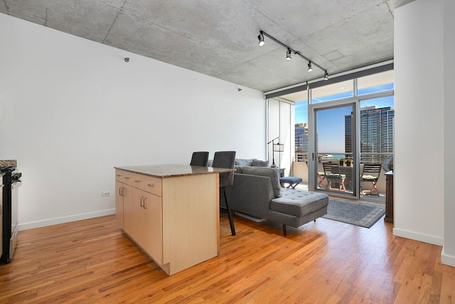 1720 S Michigan Ave Unit 1602, Chicago, IL 60616 - photo 2