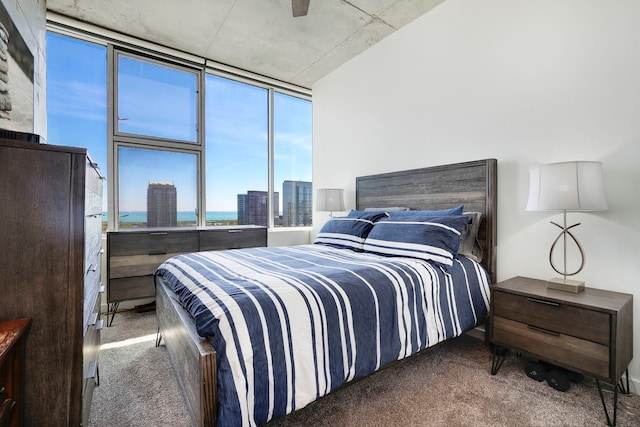 1720 S Michigan Ave Unit 1602, Chicago, IL 60616 - photo 13