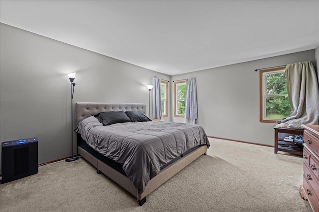 1707 Deer Run Dr, Montgomery, IL 60538 - photo 21