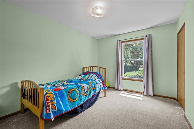 1707 Deer Run Dr, Montgomery, IL 60538 - photo 23