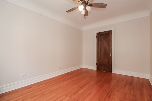 4207 N Kedvale Ave Unit 2C, Chicago, IL 60641 - photo 13