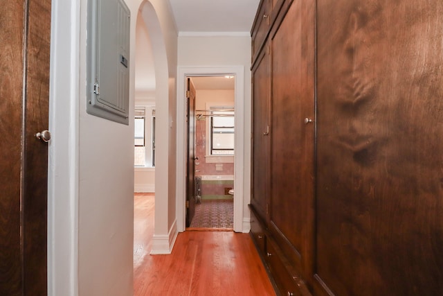 4207 N Kedvale Ave Unit 2C, Chicago, IL 60641 - photo 18