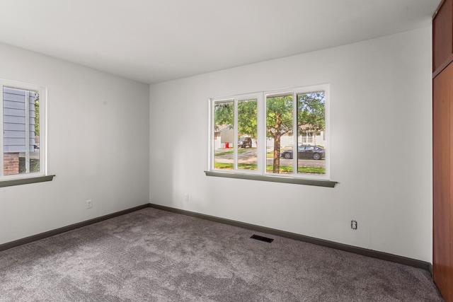 908 Dogwood Dr, Champaign, IL 61821 - photo 10