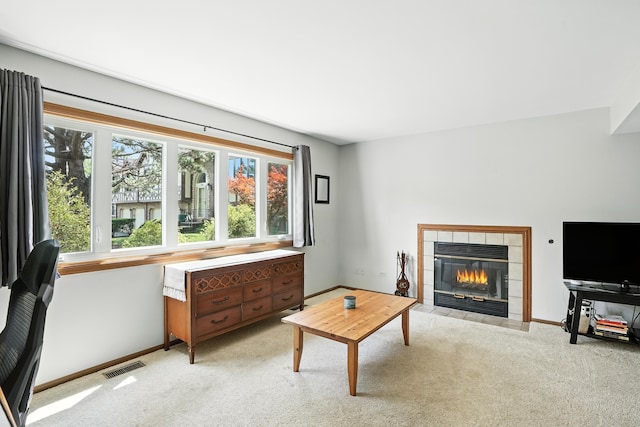 9334 Drummond Dr Unit 9334, Tinley Park, IL 60487 - photo 14