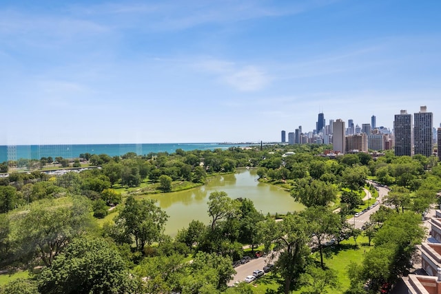 2626 N Lakeview Ave Unit 1503, Chicago, IL 60614 - photo 14