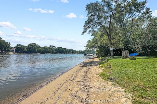 3807 Mccabe Ave, Crystal Lake, IL 60014 - photo 19