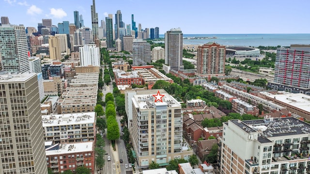 212 E Cullerton St Unit 1209, Chicago, IL 60616 - photo 19