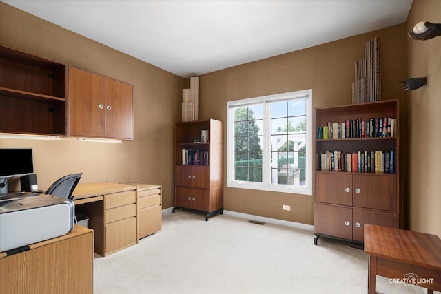 868 Braintree Ln, Bartlett, IL 60103 - photo 19