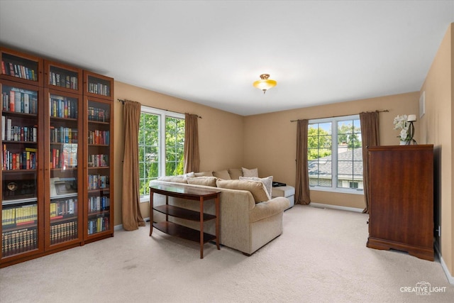 868 Braintree Ln, Bartlett, IL 60103 - photo 26