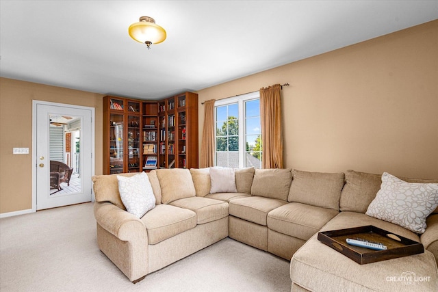 868 Braintree Ln, Bartlett, IL 60103 - photo 27