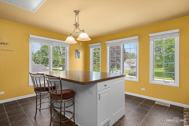 868 Braintree Ln, Bartlett, IL 60103 - photo 30