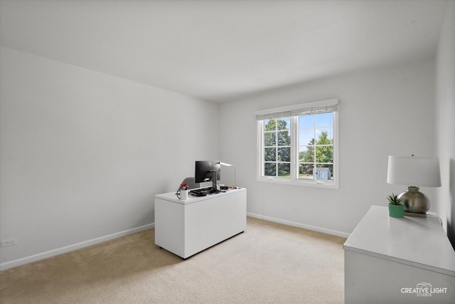 868 Braintree Ln, Bartlett, IL 60103 - photo 34