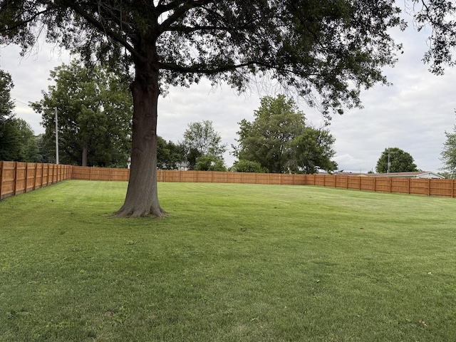 301 Washington Ave, Arlington, IL 61312 - photo 41