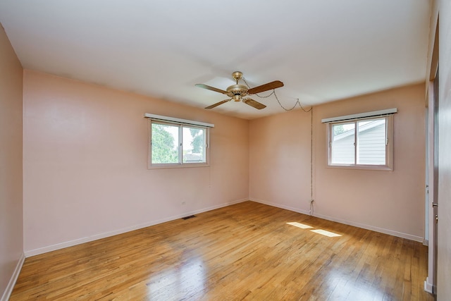 1702 W Stone Ave, Addison, IL 60101 - photo 12