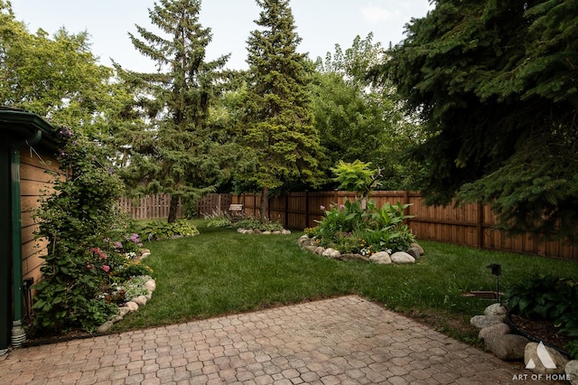 7801 S Thomas Ave, Bridgeview, IL 60455 - photo 6