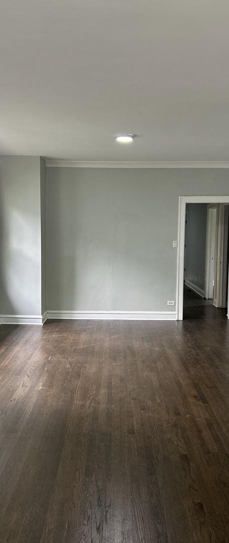 12410 S Parnell Ave, Chicago, IL 60628 - photo 6