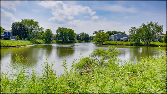 278 Nantucket Hbr Unit 0, Schaumburg, IL 60193 - photo 14