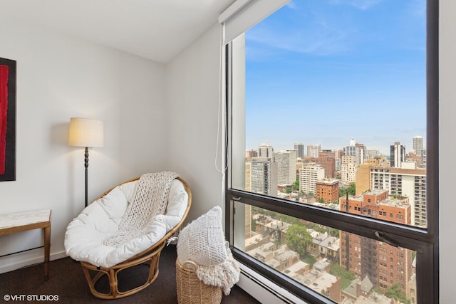 100 E Bellevue Pl Unit 24E, Chicago, IL 60611 - photo 20