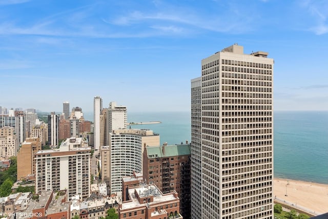 100 E Bellevue Pl Unit 24E, Chicago, IL 60611 - photo 28