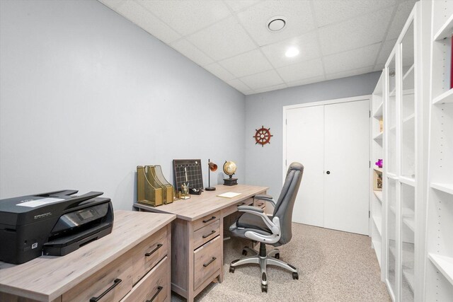 167 Forestview Ct, Aurora, IL 60502 - photo 31