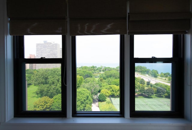 5300 S Shore Dr Unit 111, Chicago, IL 60615 - photo 16