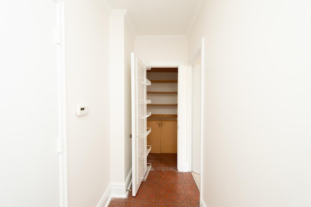 5300 S Shore Dr Unit 111, Chicago, IL 60615 - photo 34