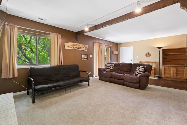 1520 S Fairfield Ave Unit 33C, Lombard, IL 60148 - photo 2