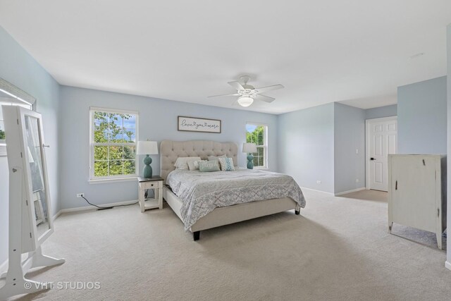 390 Sterling Cir, Cary, IL 60013 - photo 15