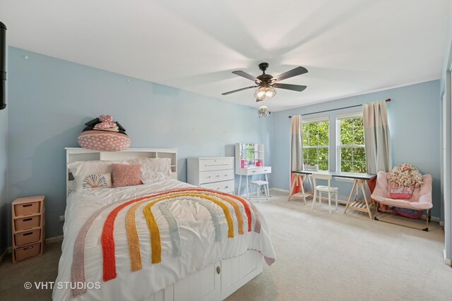 390 Sterling Cir, Cary, IL 60013 - photo 19