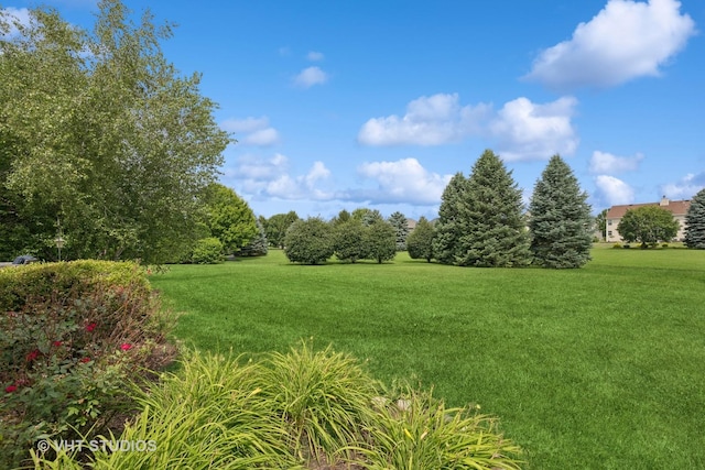 390 Sterling Cir, Cary, IL 60013 - photo 34