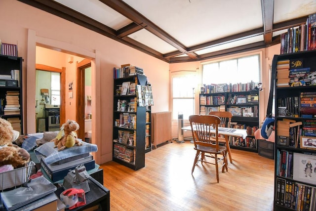 2123 W Touhy Ave, Chicago, IL 60645 - photo 8