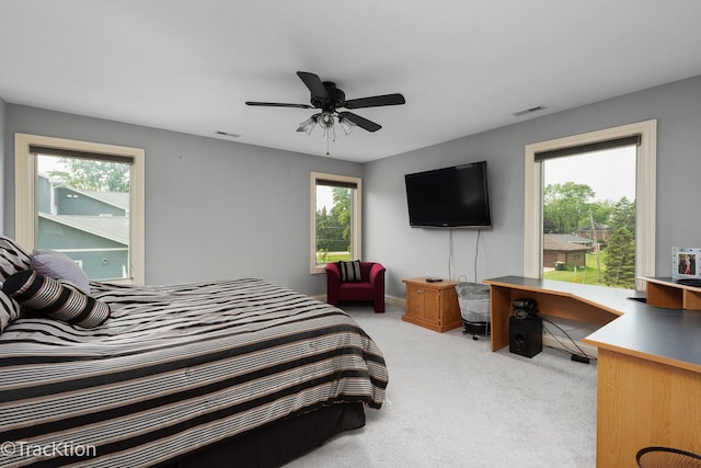 6803 S Adams St, Willowbrook, IL 60527 - photo 27