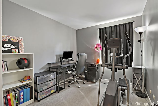 337 W Treehouse Ln Unit 11-2, Round Lake, IL 60073 - photo 14