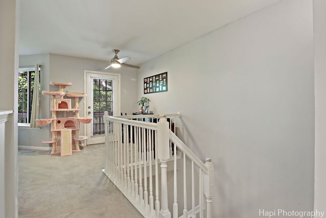 337 W Treehouse Ln Unit 11-2, Round Lake, IL 60073 - photo 10