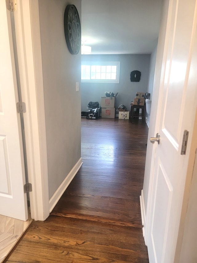7324 Palma Ln, Morton Grove, IL 60053 - photo 14